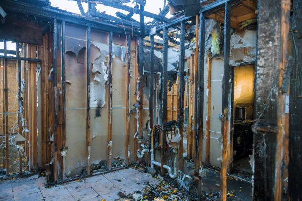 Professional Fire Damage Removal technician working in Anamosa, IA